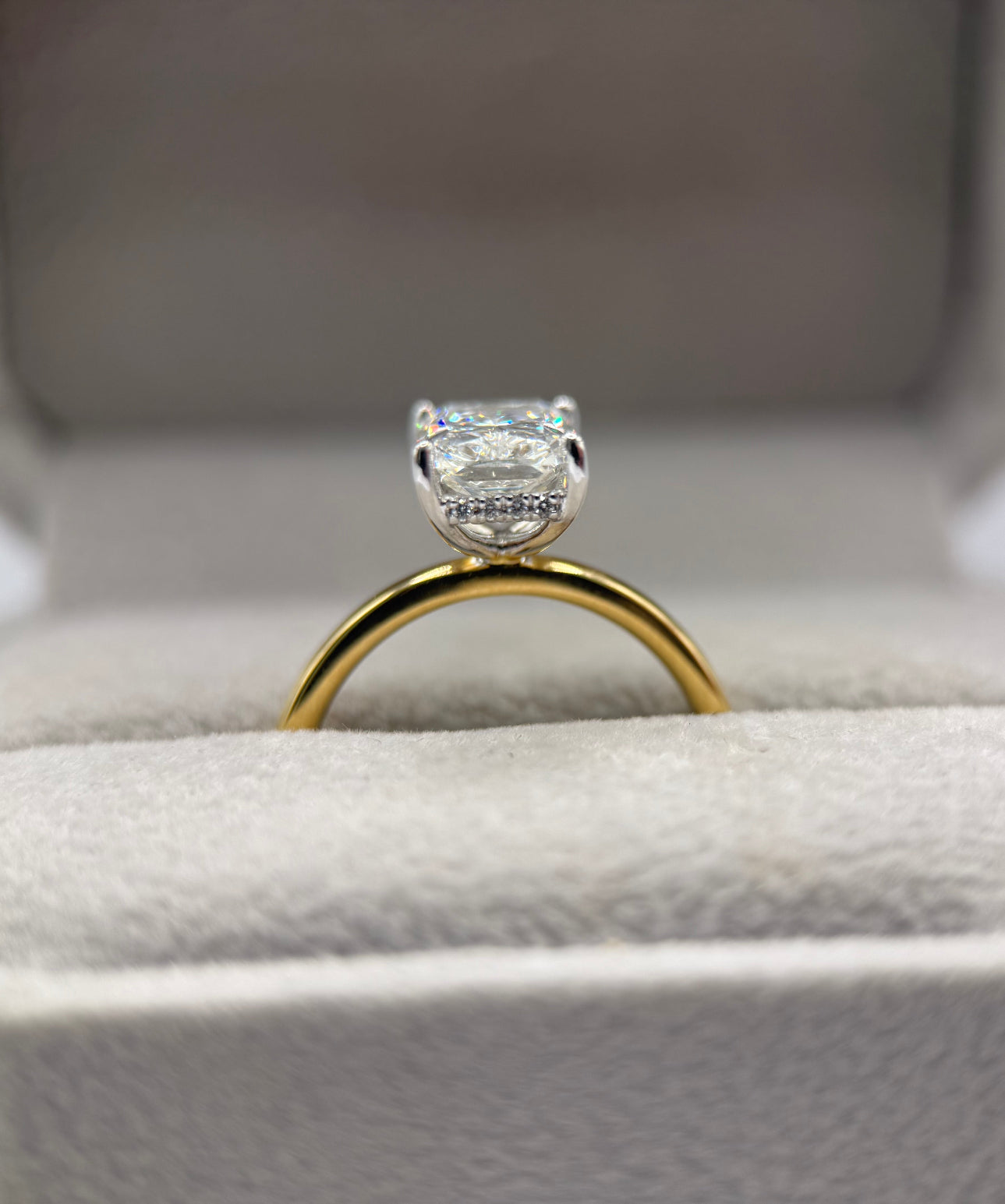 18K Two-Toned Solitaire with Hidden Halo